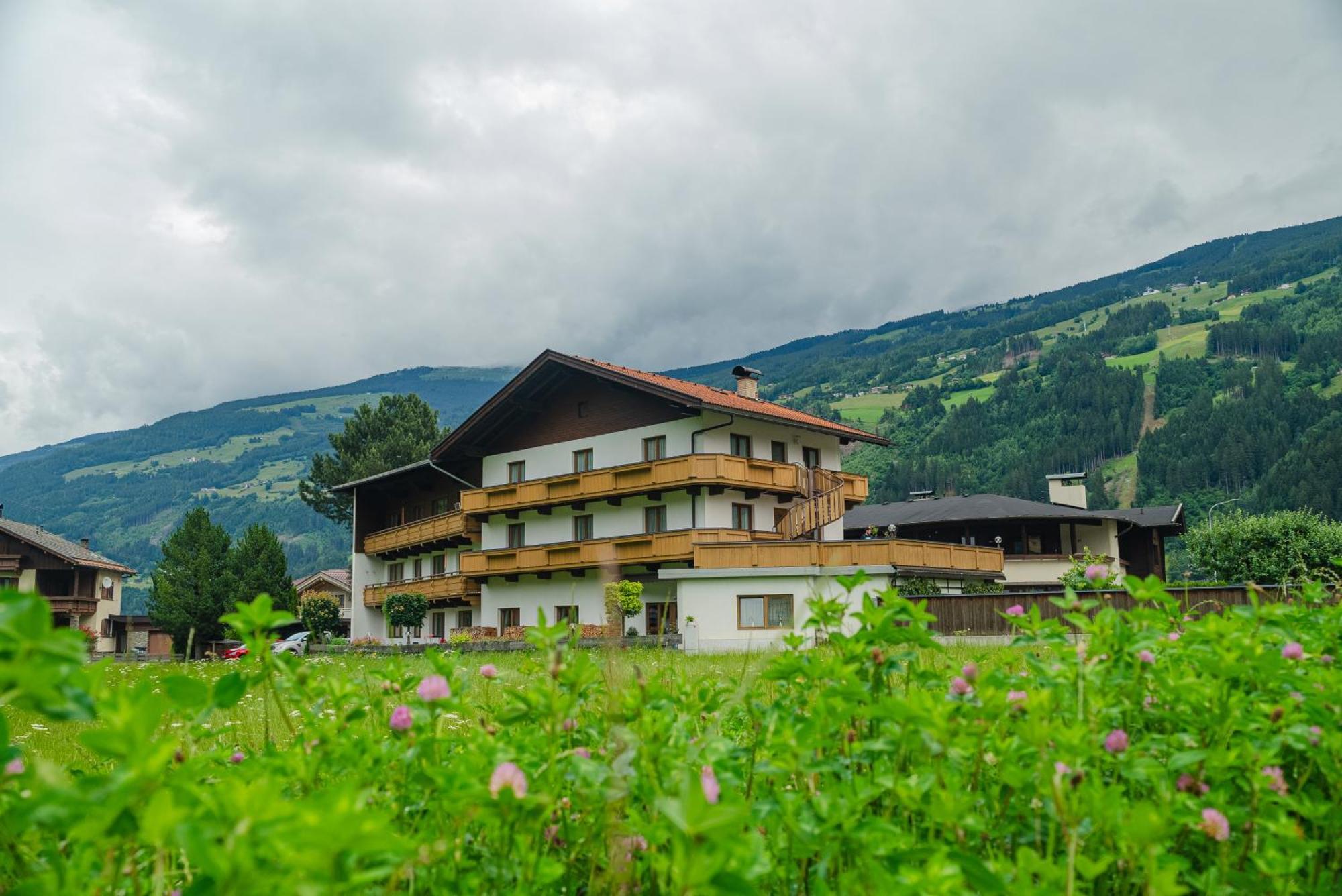 Zell Views